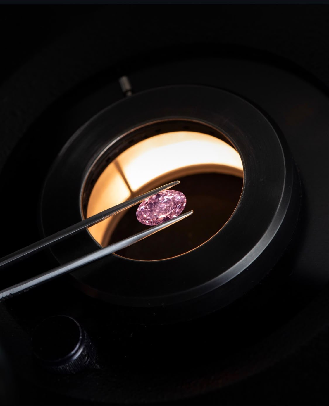 An oval pink diamond held in steel tweezers above a lit microscope stage